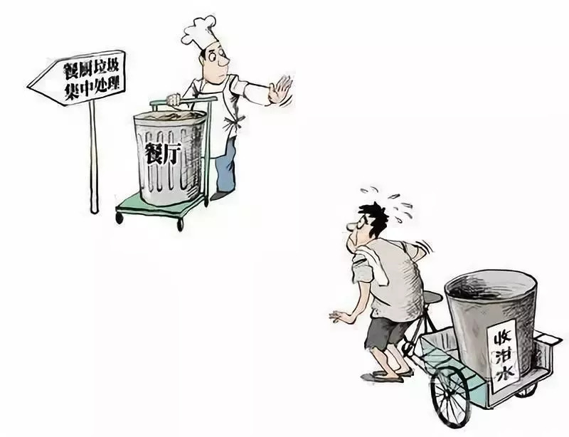 餐廚垃圾新動向，引領(lǐng)綠色革命，共筑可持續(xù)未來