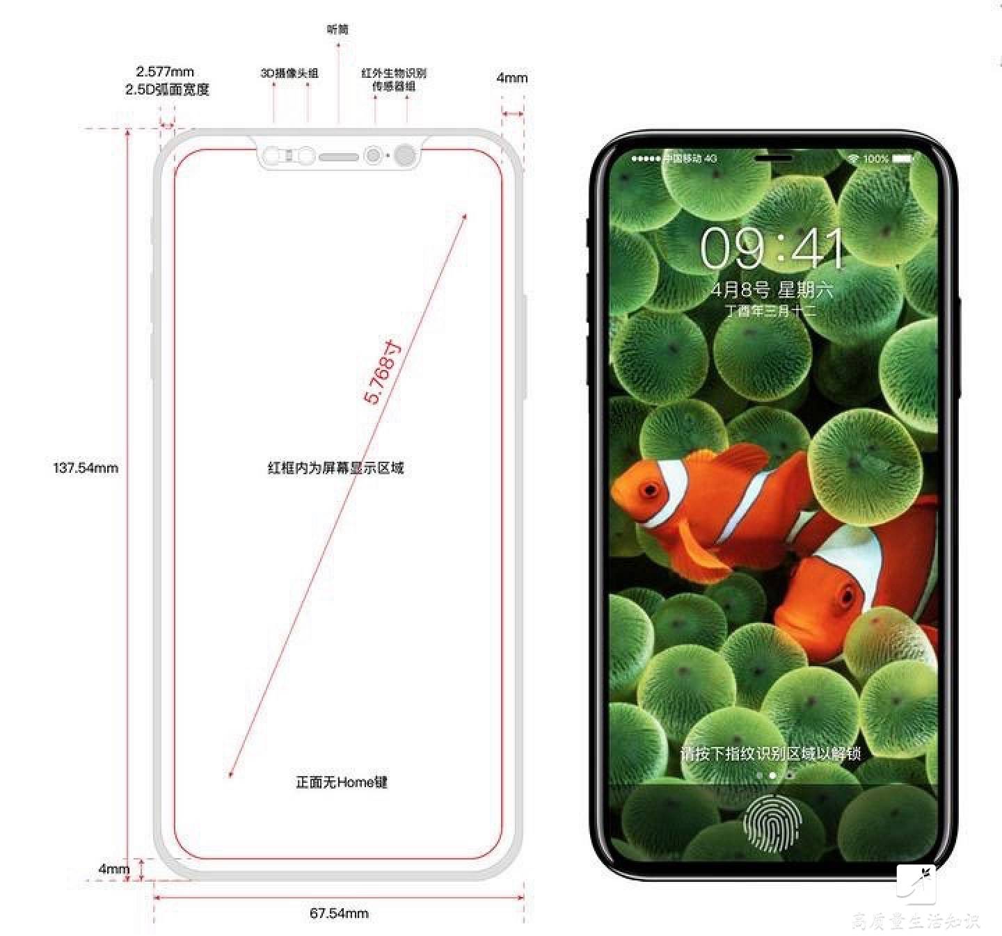 D豆最新版，功能與體驗(yàn)的全面進(jìn)化