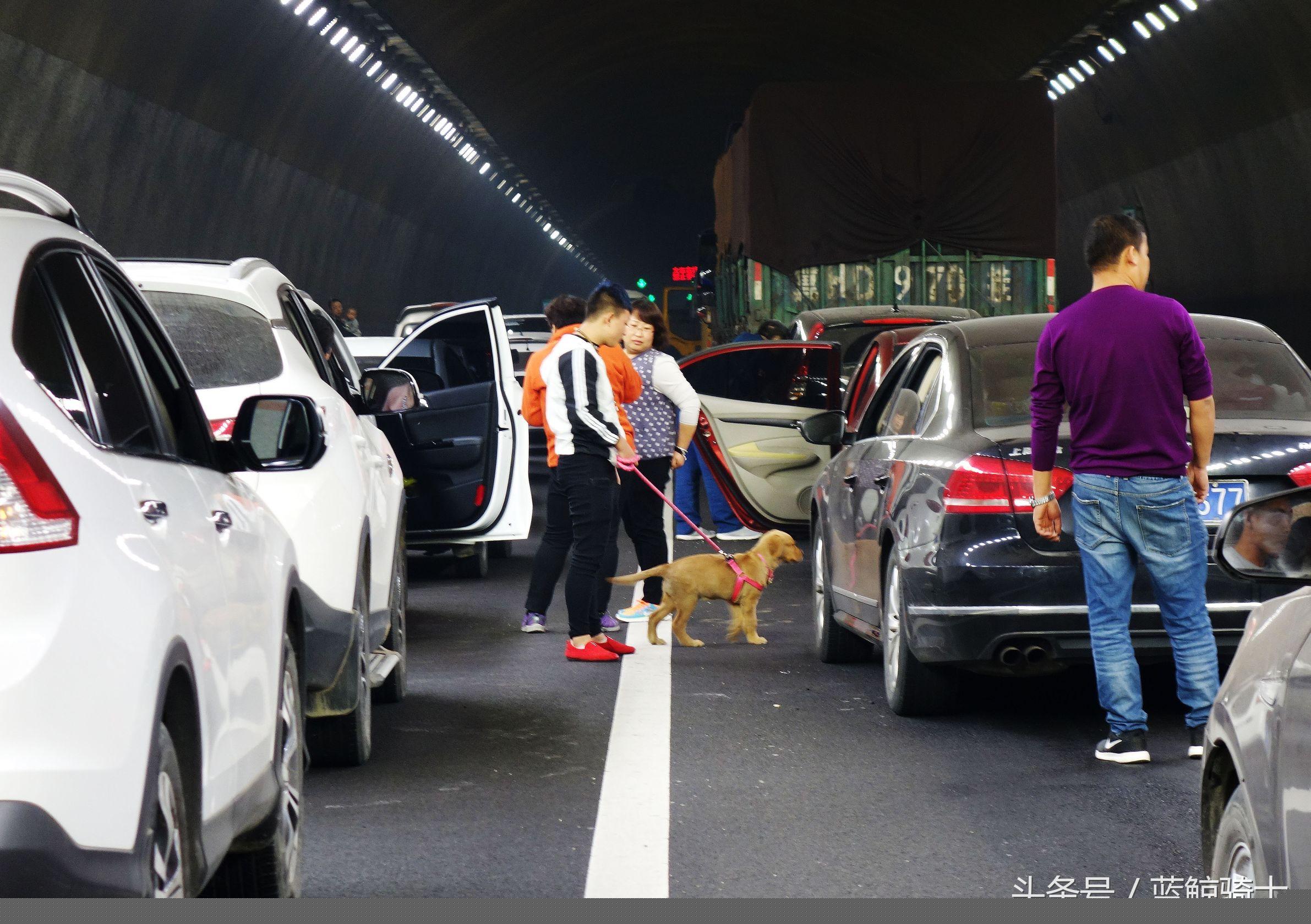 國(guó)慶期間高速路堵車(chē)路況實(shí)時(shí)分析與預(yù)測(cè)