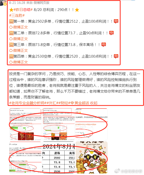 澳門今晚預(yù)測(cè)一肖一碼，恩愛愿景的實(shí)現(xiàn)