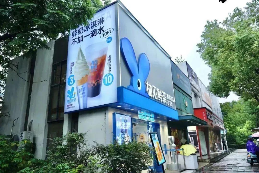揭秘優(yōu)質(zhì)資源寶藏，2024全年資料免費獲取大全