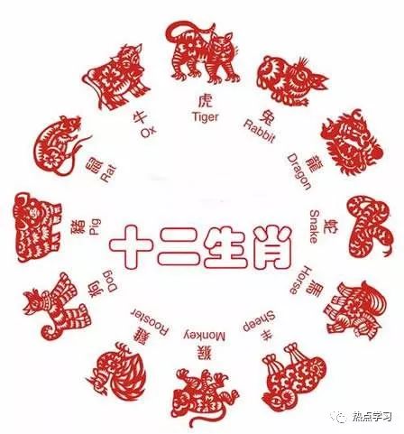 揭秘預(yù)測生肖的神秘面紗，精準(zhǔn)一肖一碼探索