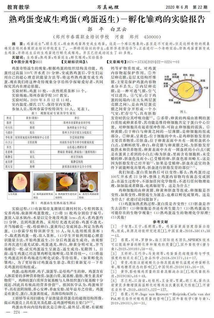 新奧好彩免費(fèi)資料查詢，深度探索與解析