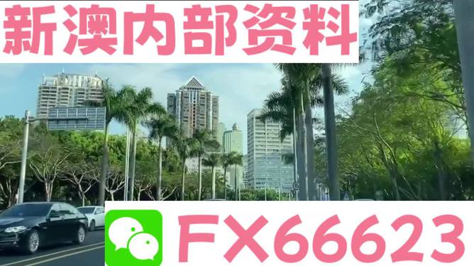 關(guān)于新澳精準(zhǔn)資料免費(fèi)提供，一個(gè)關(guān)于違法犯罪問題的探討