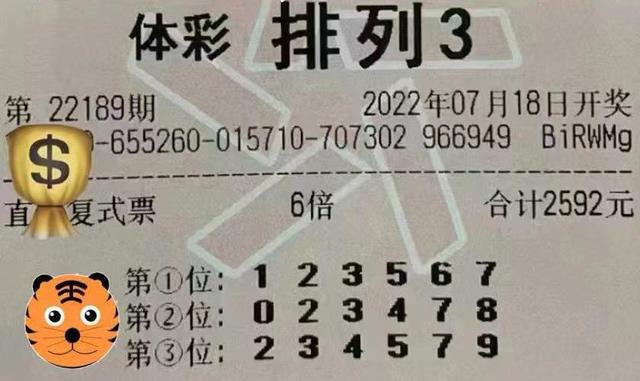 澳門彩票，理性投注與避免犯罪風險的重要性