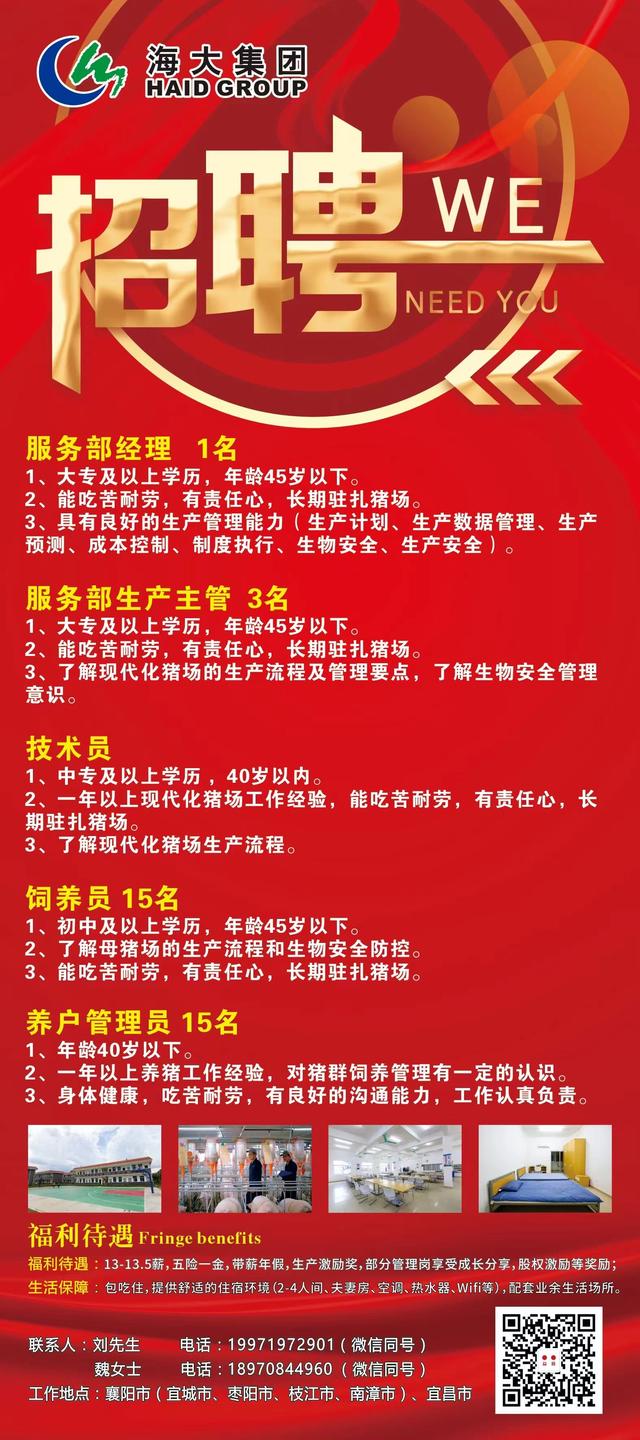 樂(lè)陵優(yōu)質(zhì)職位招聘，享受雙休挑戰(zhàn)開(kāi)啟！
