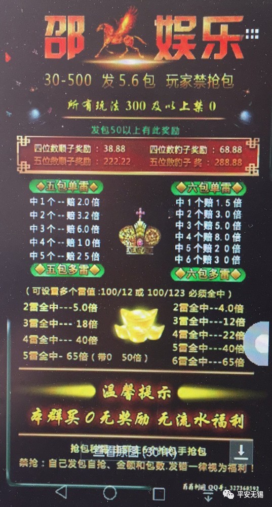 IcePhoenix 第2頁
