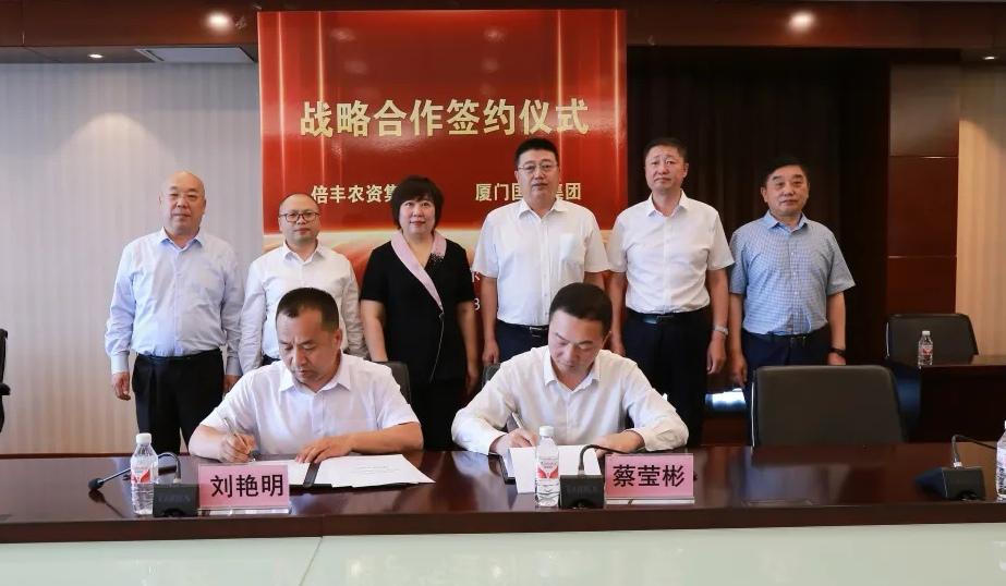 廈門國貿(mào)集團最新消息全面解讀與分析