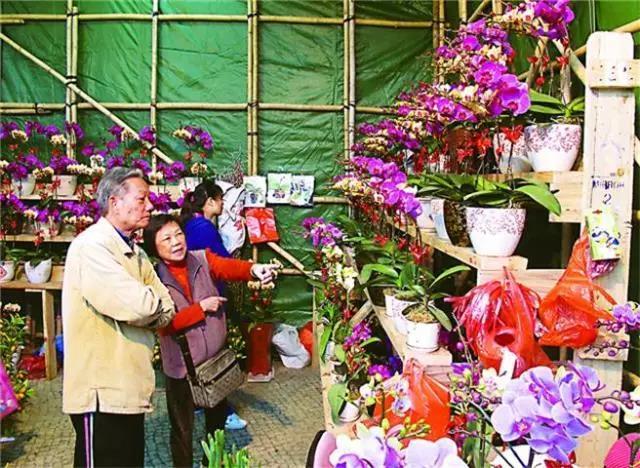 澳門之夜，最佳購物攻略，今晚你該如何選擇？