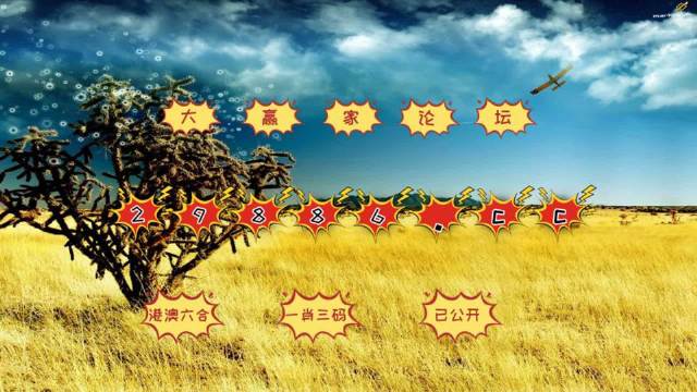 澳門開獎4949深度解析與探索