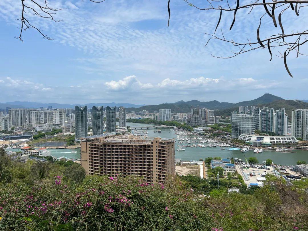 海口最新房價走勢揭秘，市場趨勢與未來展望分析